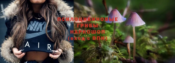 a pvp Беломорск