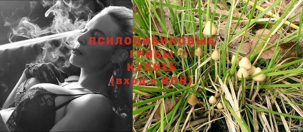 spice Белоозёрский