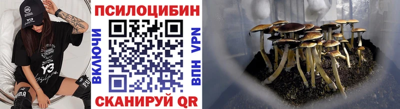 shop состав  Нестеров  Галлюциногенные грибы Cubensis 